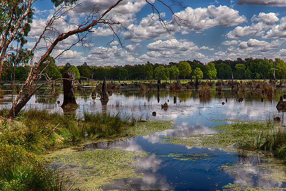 2015-11-16-100425_HDR