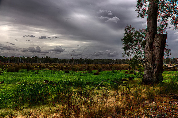 IMG_4861_HDR