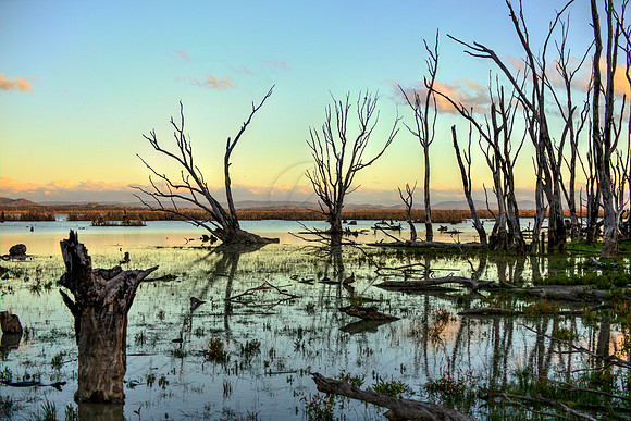2013_08_12_00048345_6_7_tonemapped