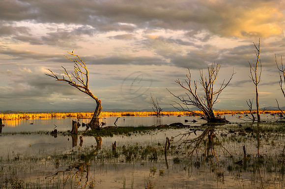 2013_08_26_00053784_5_6_7_8_tonemapped