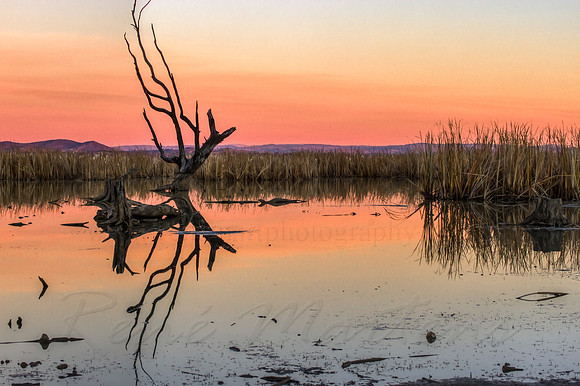 2013_06_23_00040373_4_5_tonemapped