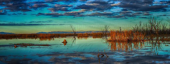 Winton Wetlands - After Sunrise