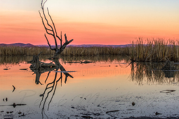2013_06_23_00040376_7_8_tonemapped