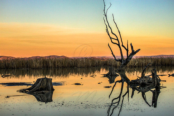 2013_06_23_00040349_50_51_tonemapped