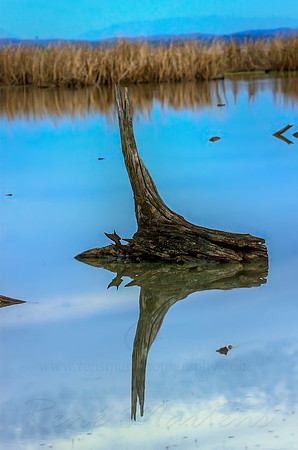 2013_07_27_00045102_3_4_tonemapped