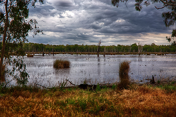 2015-11-04-099142_HDR