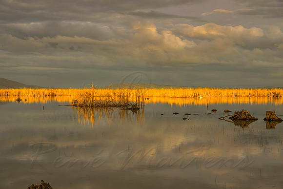 2013_08_26_00053819_20_21_22_23_tonemapped