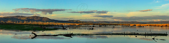 Untitled_Panorama1