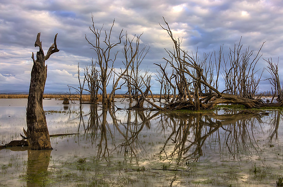 2013_08_30_00054022_3_4_5_6_tonemapped