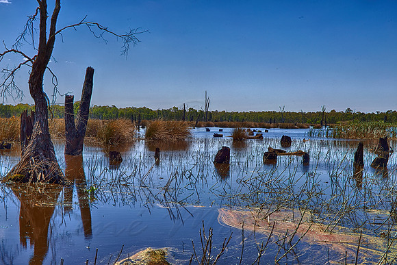 2015-11-27-101244_HDR