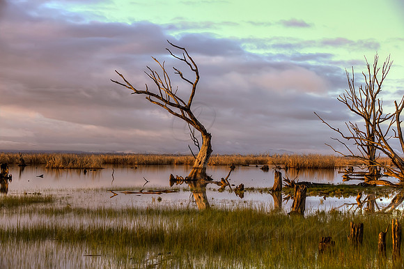 2013_08_20_00049358_59_60_61_62_tonemapped