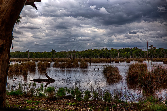 2015-11-04-099135_HDR