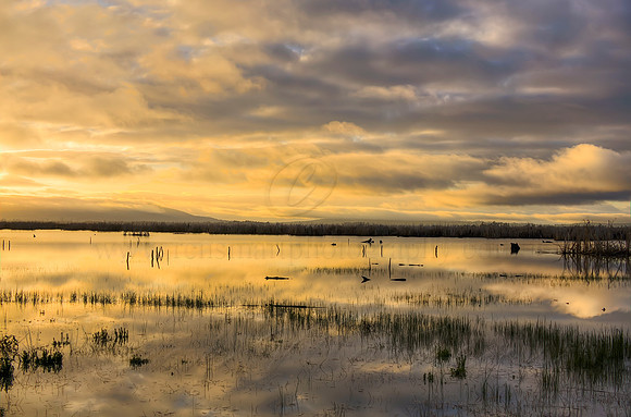 2013_08_20_00049368_69_70_71_72_tonemapped