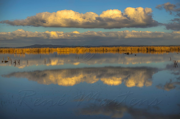 2013_08_15_00048570_1_2_3_4_tonemapped