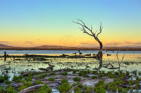 2013_08_12_00048354_5_6_tonemapped