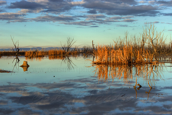 2013_07_12_00042714_5_6_tonemapped