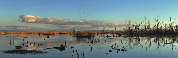 Untitled_Panorama1