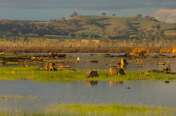 2013_07_29_00045152_3_4_tonemapped