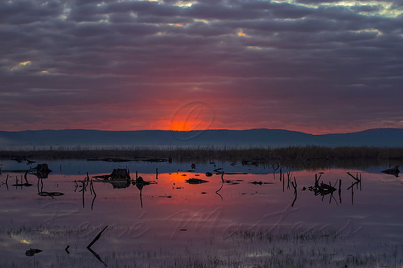2013_08_01_00045592_3_4_tonemapped