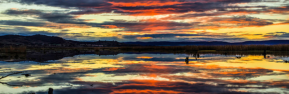 Sunrise over Winton Wetlands