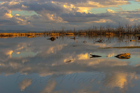 2013_07_29_00045231_2_3_tonemapped