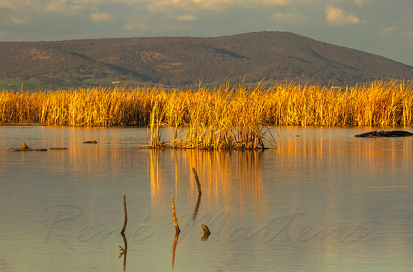 2013_08_01_00045666_7_8_tonemapped