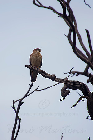 2013_09_17_00056490