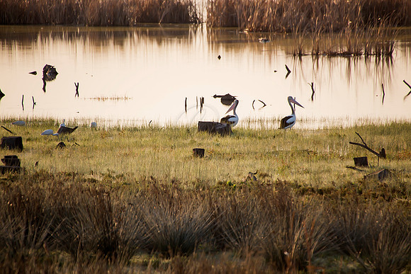 2013_09_03_00055432