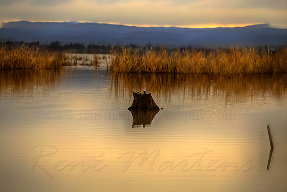 2013_09_13_00056358_59_60_61_62_tonemapped
