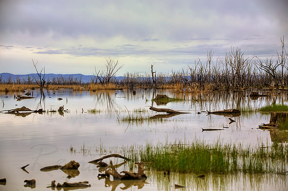 2013_09_13_00056294_5_6_7_8_tonemapped