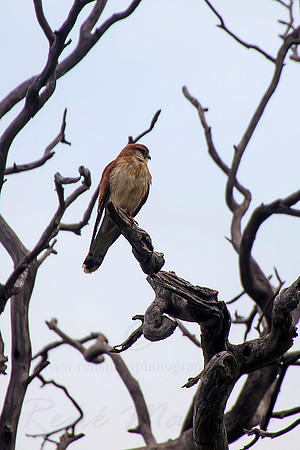 2013_09_17_00056485