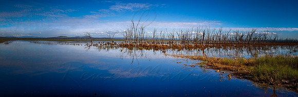 Winton Wetlands 5