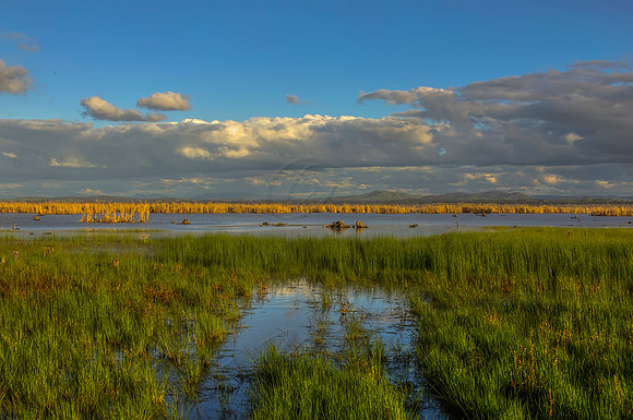 2013_09_10_00055976_77_78_79_80_tonemapped