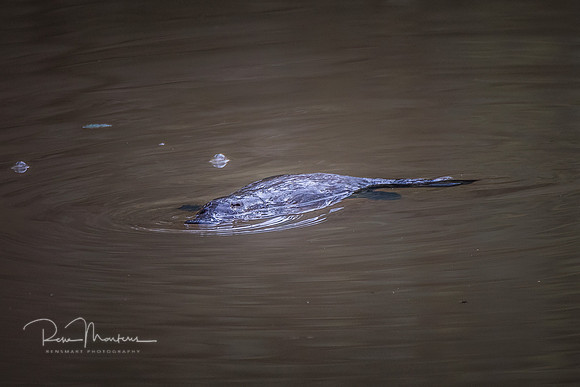 2024_07_09_0119