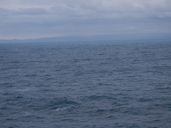 DSCN0539