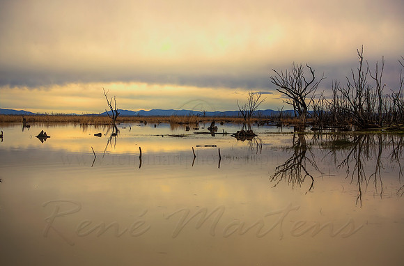 2013_09_13_00056318_19_20_21_22_tonemapped