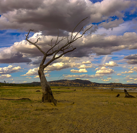 Winton Wetlands 2