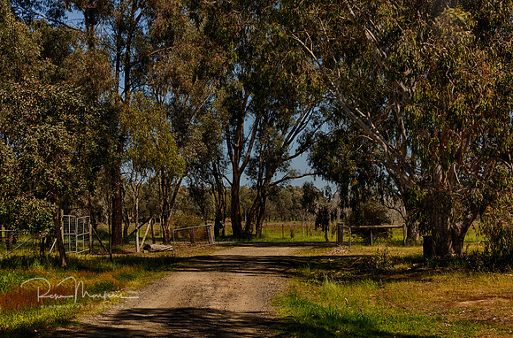 2024_10_10_0101_HDR