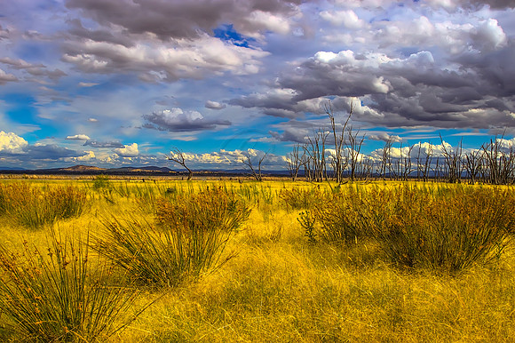 2013_12_13_00077052_3_4_tonemapped