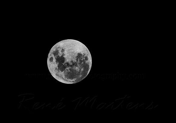 Moon