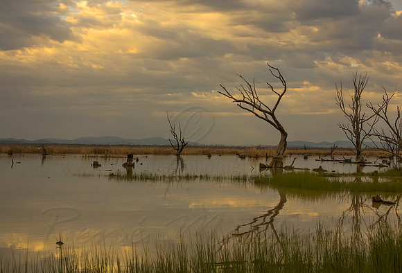 2013_10_09_00067119_20_21_22_23_tonemapped