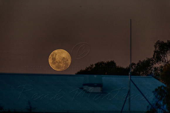 2021_04_26_9999_97