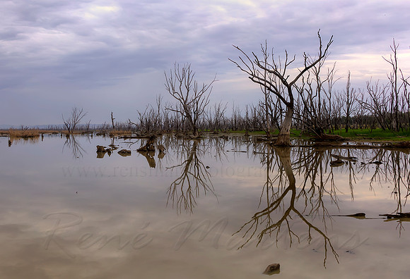 Winton Wetlands