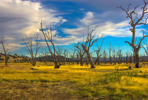 2013_12_27_00078988_89_90_91_92_tonemapped