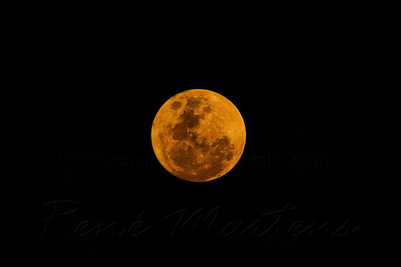 moon