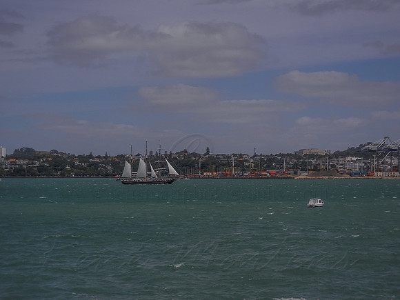 DSCN0346