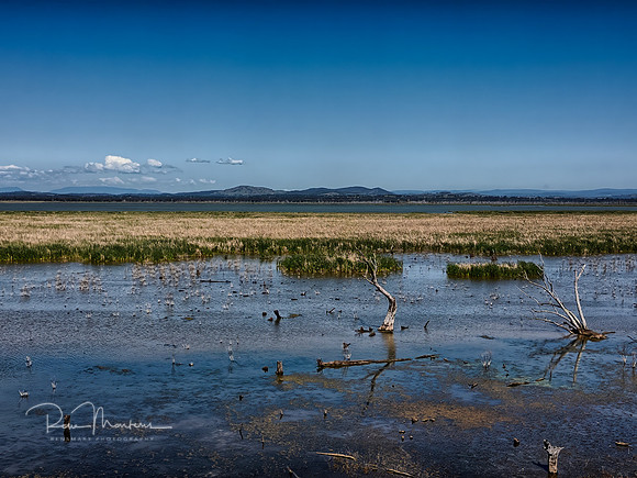 DJI_0452_HDR