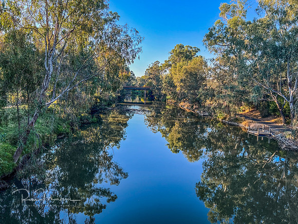 IMG_2155