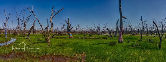 DJI_0368_HDR_stitch