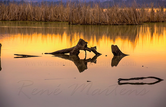 2013_11_08_00070287_88_89_90_91_tonemapped